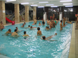 potszilv 067a.jpg